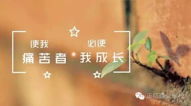 使我痛苦者必使我成长——龙文教育集团精英特训营